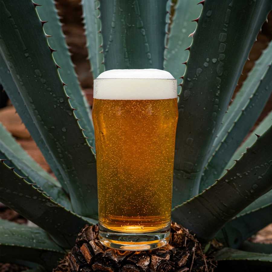 Mexico's Export Boom: Beer and Tequila Drive Record Agricultural Gains