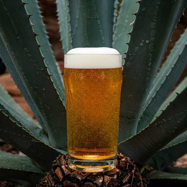 A strong agave plant (tequila) supporting a frothy beer stein.